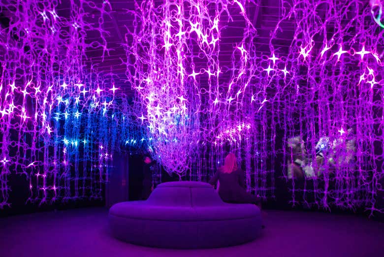 An immersive experience
